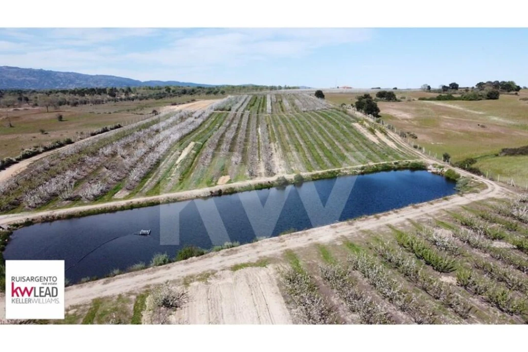 Terreno para Venda em Póvoa de Rio de Moinhos e Cafede Foto 21