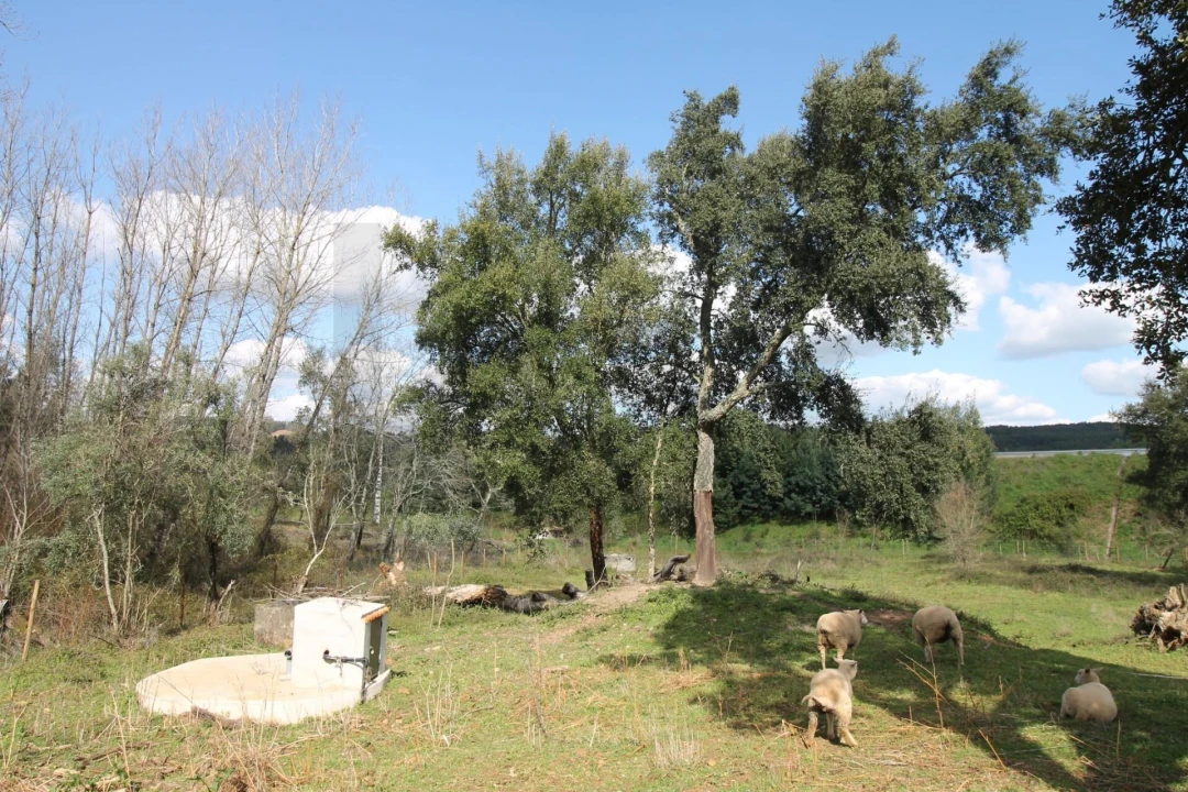 Moradia T2 para Venda em Nossa Senhora do Pranto Foto 22