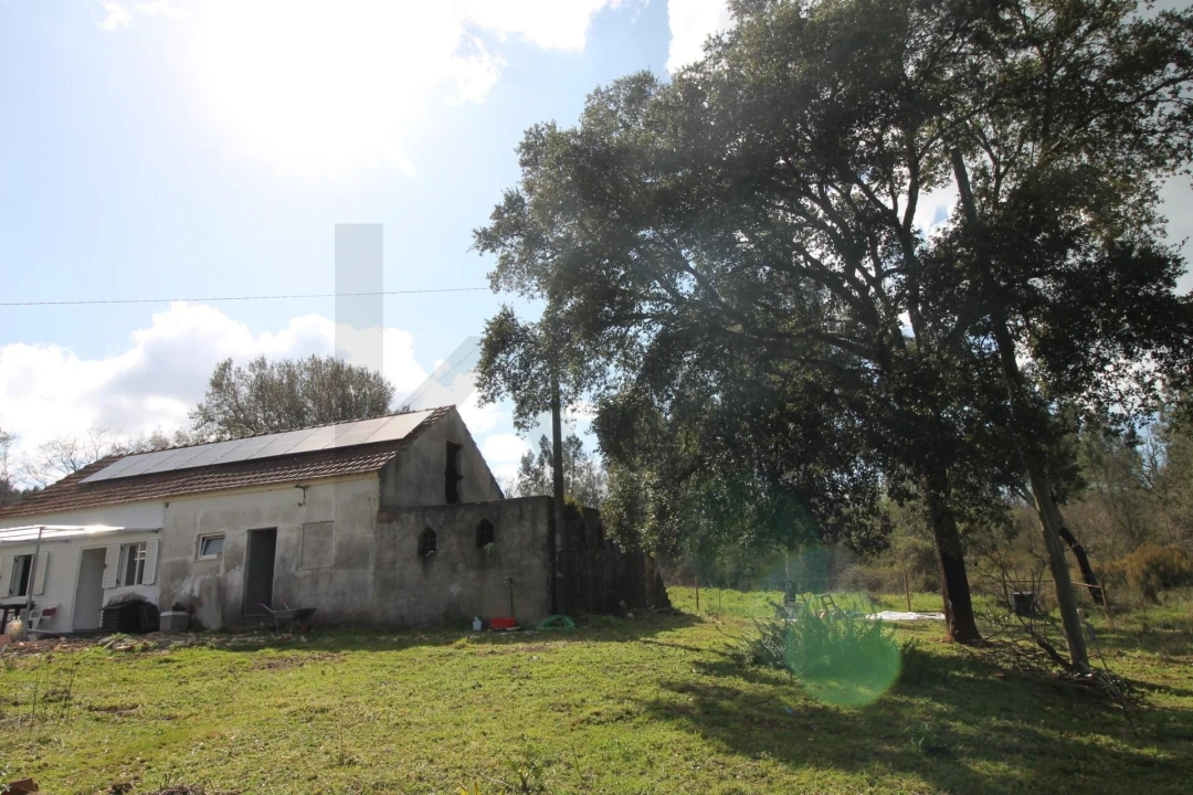 Moradia T2 para Venda em Nossa Senhora do Pranto Foto 16