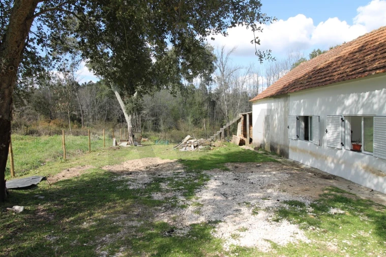 Moradia T2 para Venda em Nossa Senhora do Pranto Foto 15