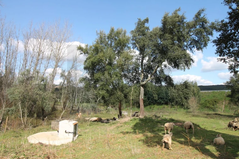 Moradia T2 para Venda em Nossa Senhora do Pranto Foto 22