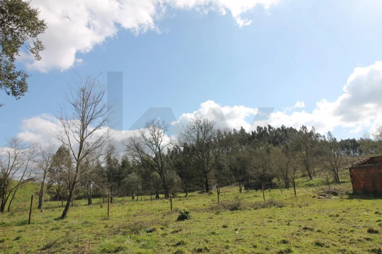 Moradia T2 para Venda em Nossa Senhora do Pranto Foto 31