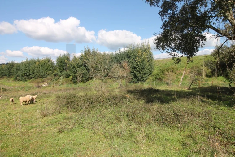 Moradia T2 para Venda em Nossa Senhora do Pranto Foto 27