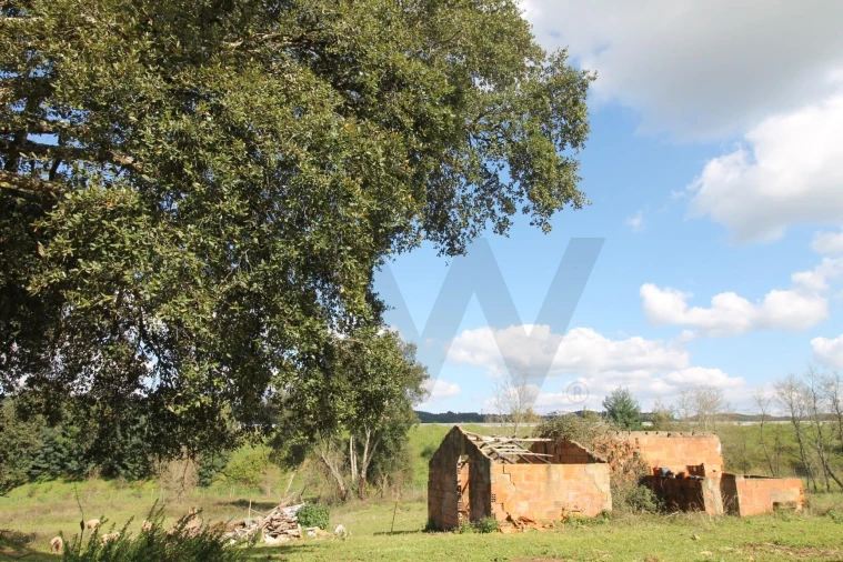 Moradia T2 para Venda em Nossa Senhora do Pranto Foto 21