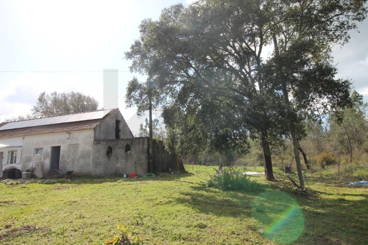 Moradia T2 para Venda em Nossa Senhora do Pranto Foto 13