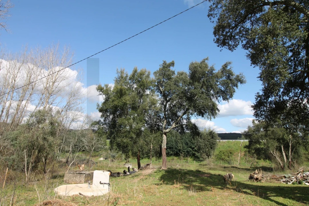 Moradia T2 para Venda em Nossa Senhora do Pranto Foto 23