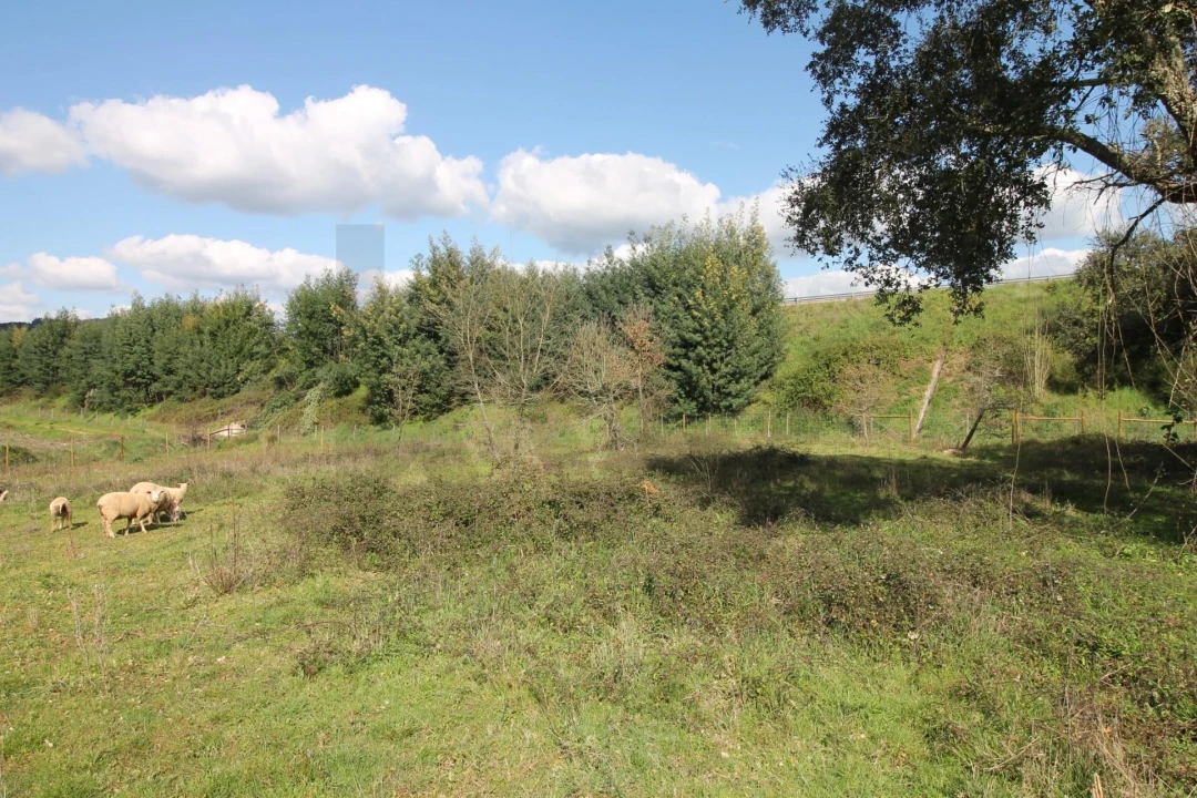 Moradia T2 para Venda em Nossa Senhora do Pranto Foto 27