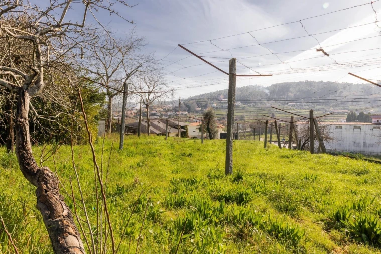 Moradia T3 para Venda em Arentim e Cunha Foto 9