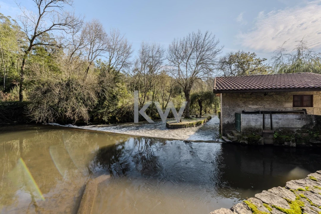 Quinta T7 para Venda em Touguinha e Touguinhó Foto 26