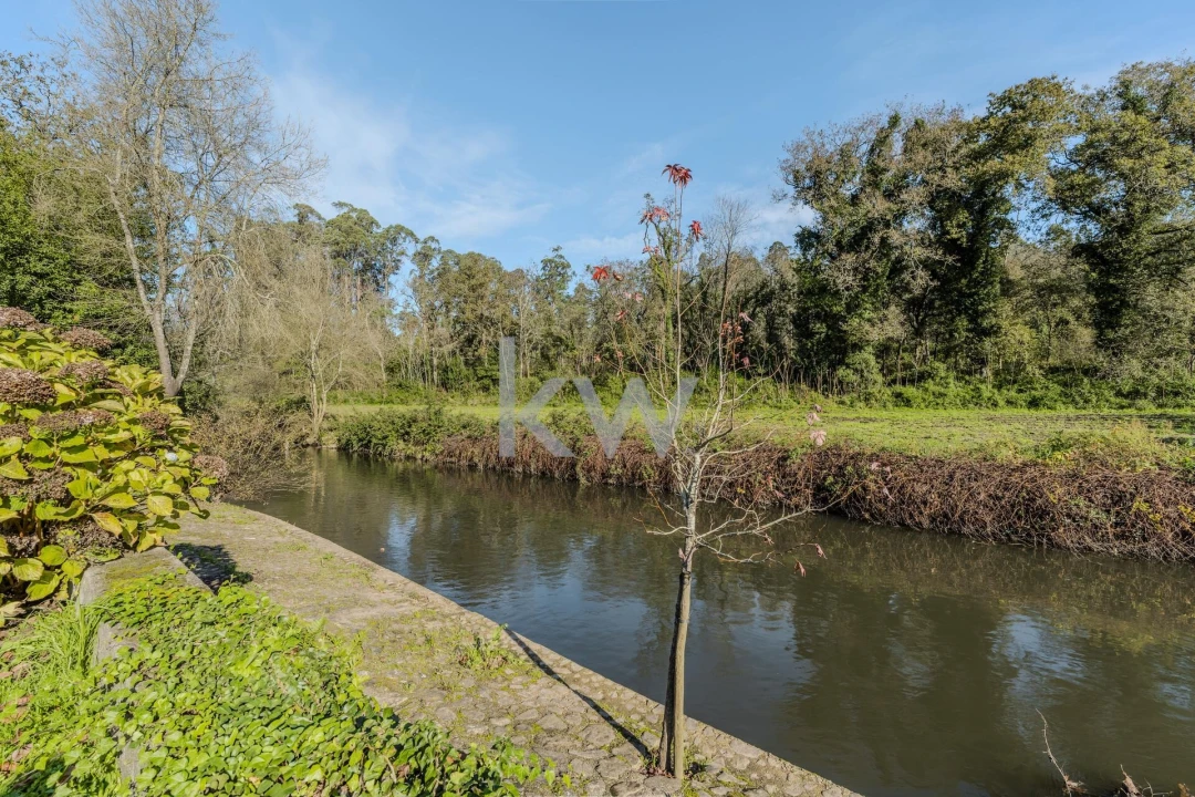 Quinta T7 para Venda em Touguinha e Touguinhó Foto 32