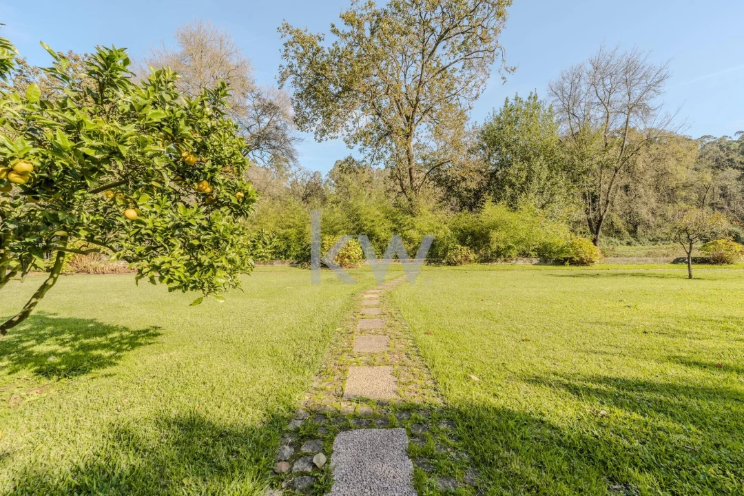 Quinta T7 para Venda em Touguinha e Touguinhó Foto 30