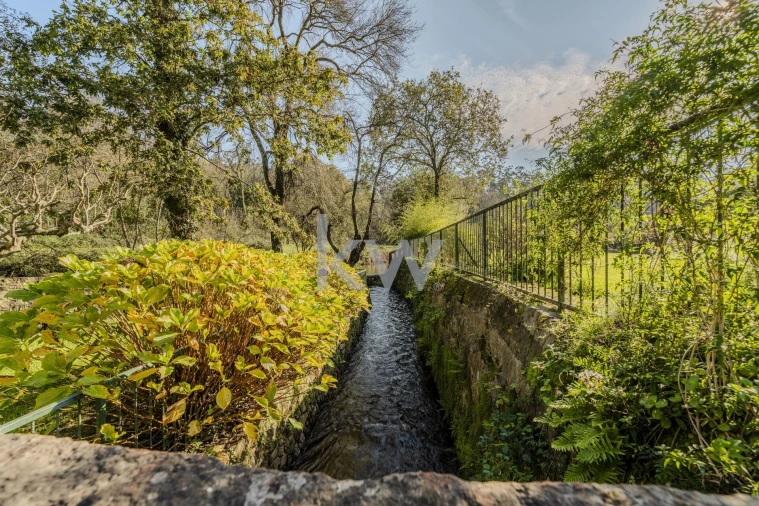 Quinta T7 para Venda em Touguinha e Touguinhó Foto 27