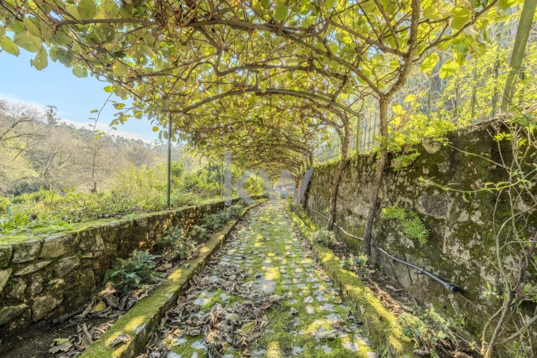 Quinta T7 para Venda em Touguinha e Touguinhó Foto 2