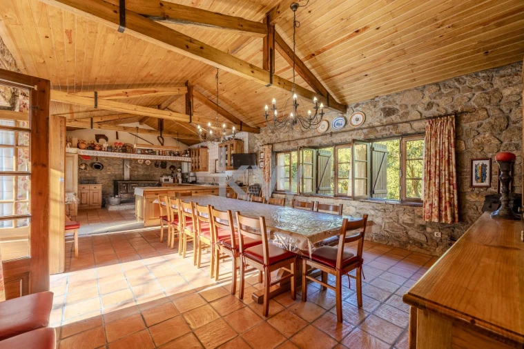 Quinta T7 para Venda em Touguinha e Touguinhó Foto 49