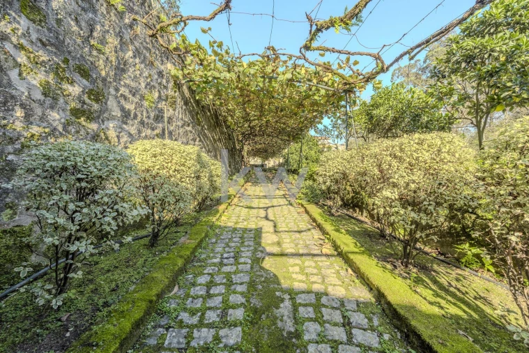 Quinta T7 para Venda em Touguinha e Touguinhó Foto 3