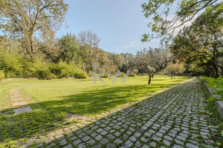 Quinta T7 para Venda em Touguinha e Touguinhó Foto 29