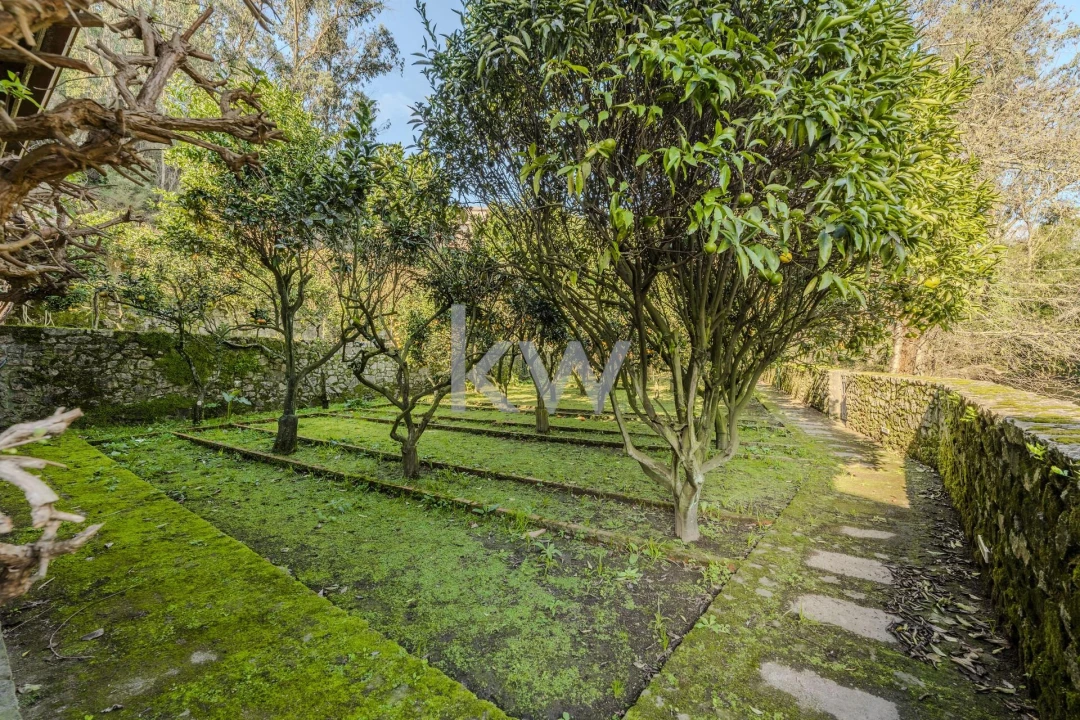 Quinta T7 para Venda em Touguinha e Touguinhó Foto 24