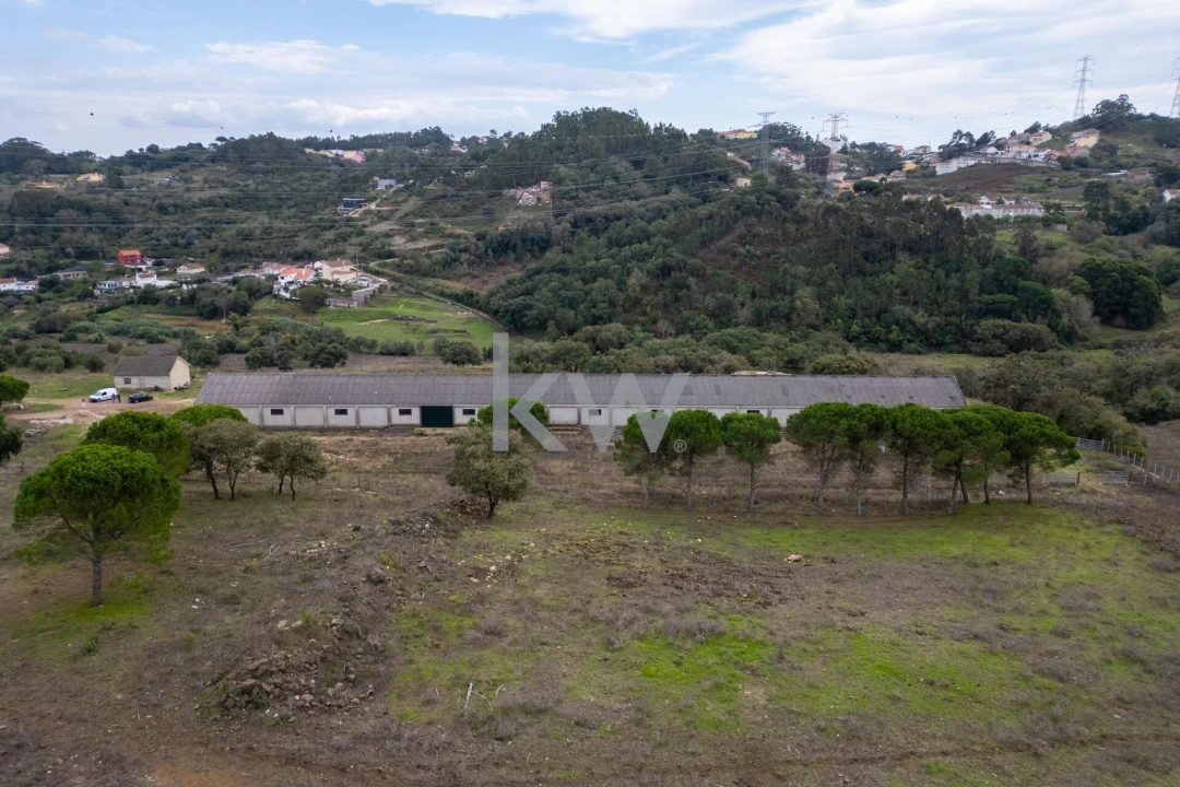 Terreno para Venda em Loures Foto 12