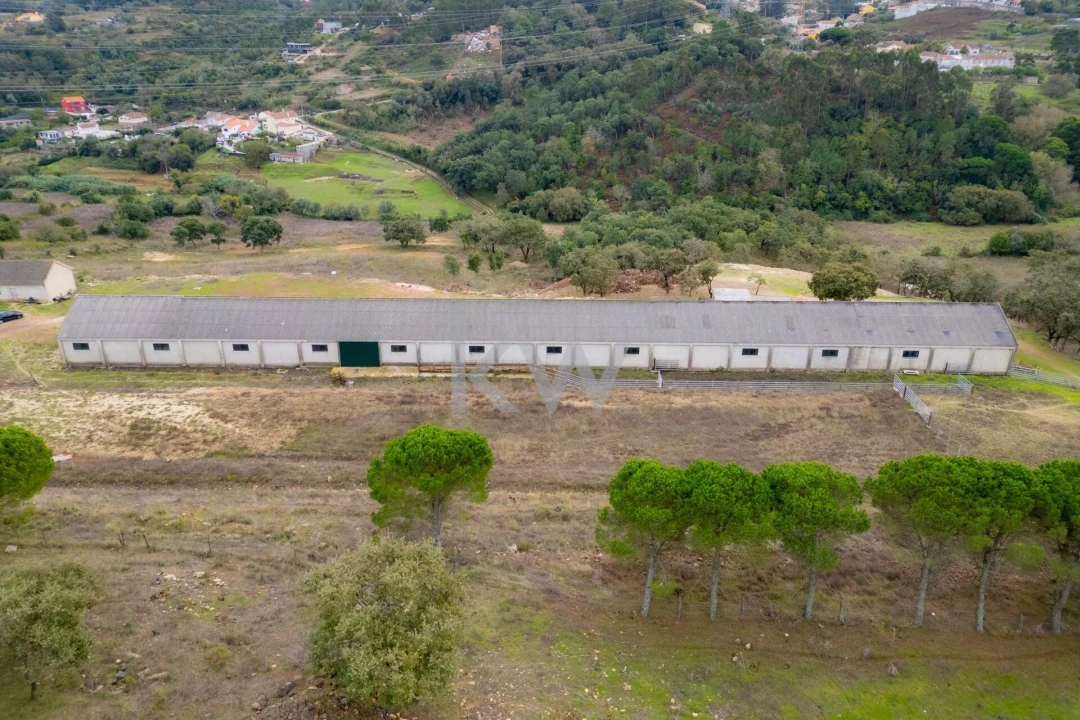 Terreno para Venda em Loures Foto 13