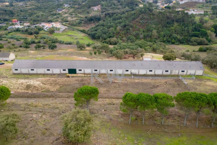 Terreno para Venda em Loures Foto 13