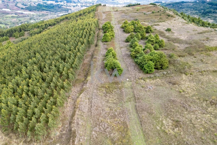 Terreno para Venda em Loures Foto 6
