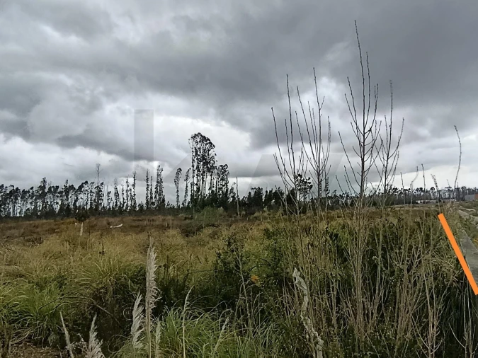 Terreno para Venda em Albergaria-A-Velha e Valmaior Foto 4