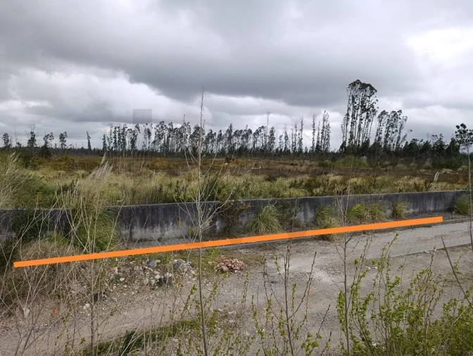 Terreno para Venda em Albergaria-A-Velha e Valmaior Foto 3