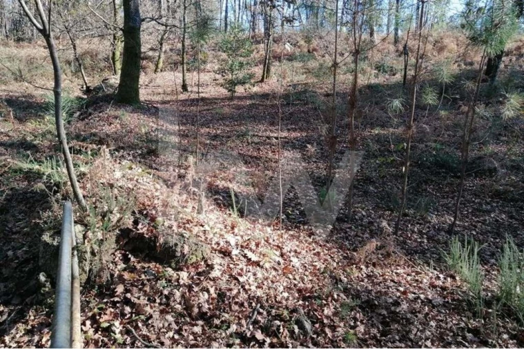 Terreno para Venda em Atiães Foto 8