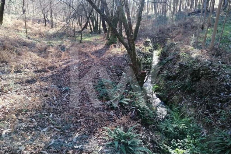Terreno para Venda em Atiães Foto 5