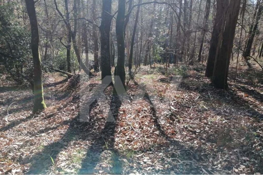 Terreno para Venda em Atiães Foto 6