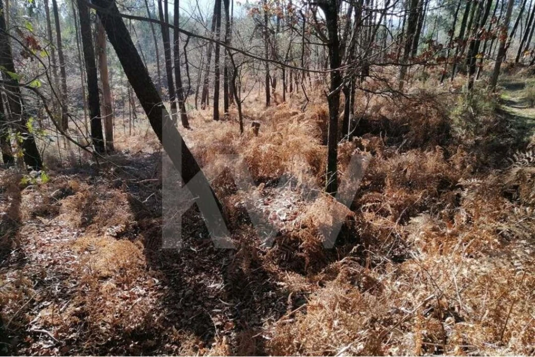 Terreno para Venda em Atiães Foto 7