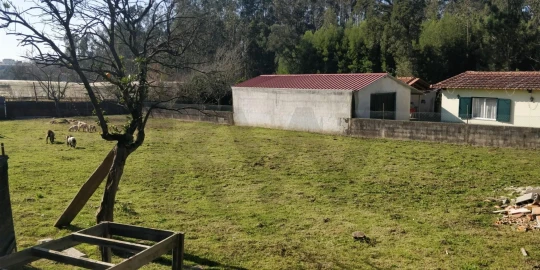 Terreno para Venda em Ovar, São João, Arada e São Vicente de Pereira Jusã