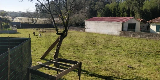 Terreno para Venda em Ovar, São João, Arada e São Vicente de Pereira Jusã