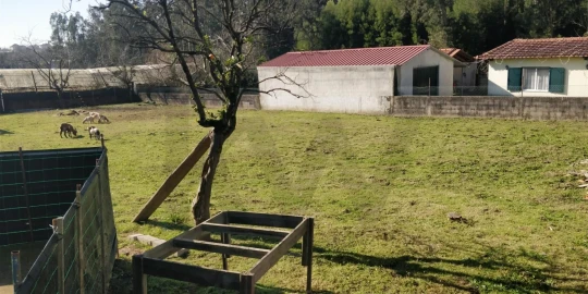 Terreno para Venda em Ovar, São João, Arada e São Vicente de Pereira Jusã