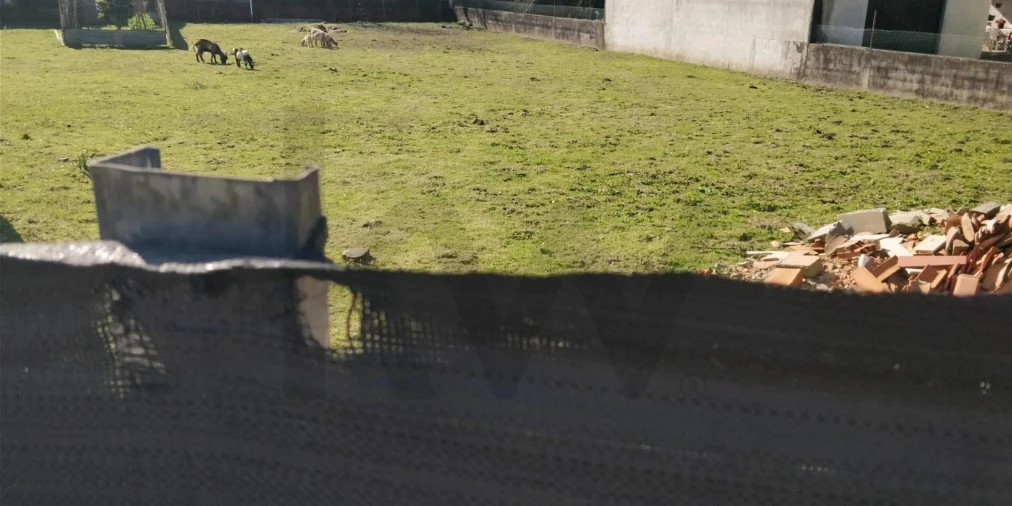 Terreno para Venda em Ovar, São João, Arada e São Vicente de Pereira Jusã Foto 7