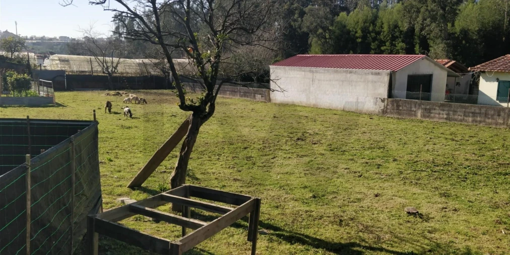 Terreno para Venda em Ovar, São João, Arada e São Vicente de Pereira Jusã Foto 3
