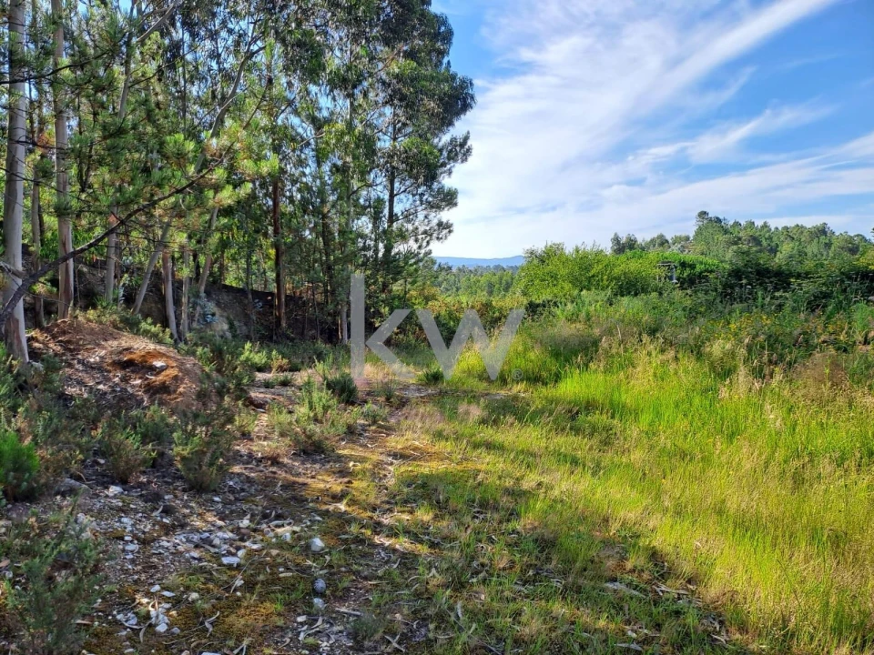Terreno para Venda em São Roque Foto 8