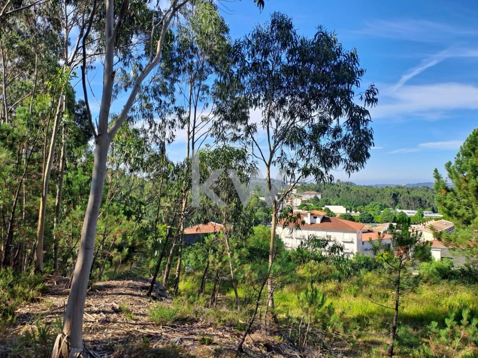 Terreno para Venda em São Roque Foto 6
