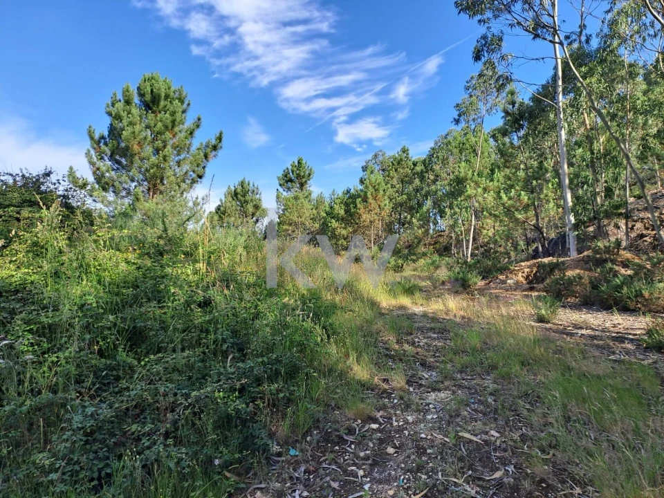 Terreno para Venda em São Roque Foto 4