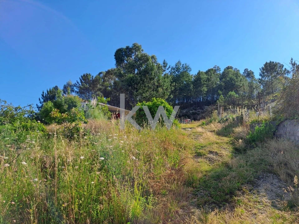 Terreno para Venda em São Roque Foto 12