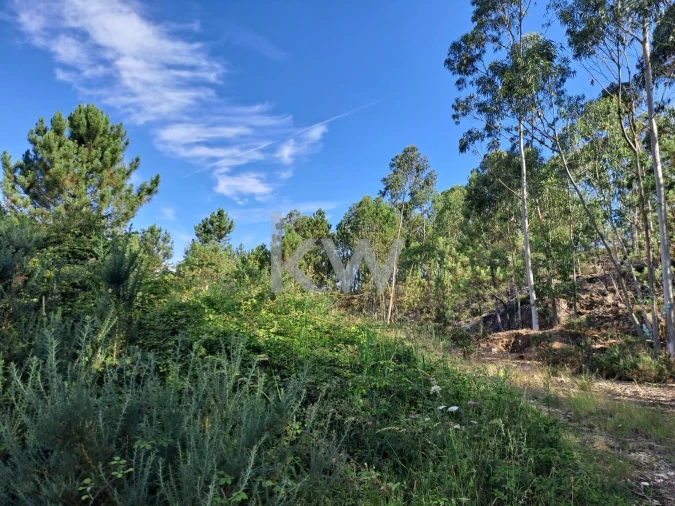 Terreno para Venda em São Roque Foto 3