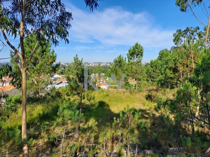 Terreno para Venda em São Roque Foto 7