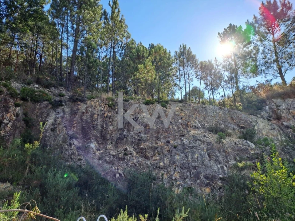 Terreno para Venda em São Roque Foto 10