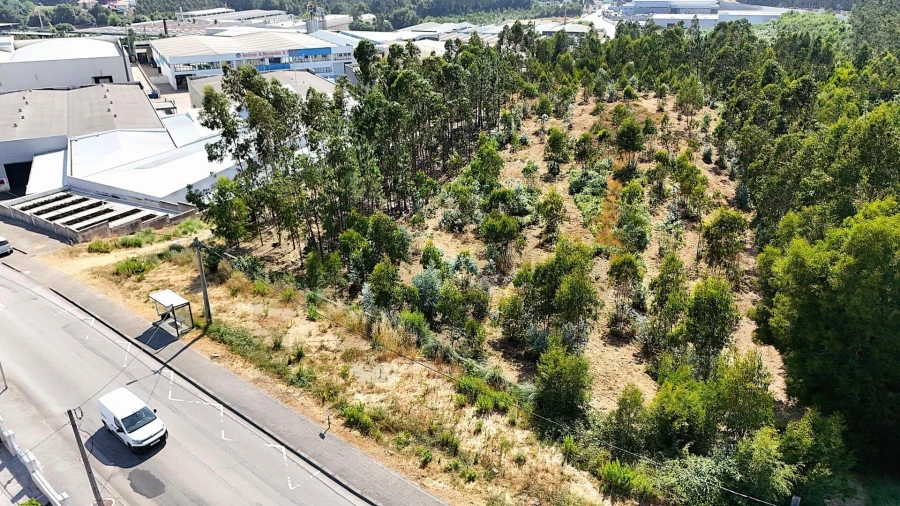 Terreno para Venda em São João de Ver Foto 2