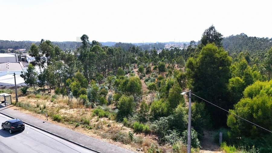 Terreno para Venda em São João de Ver Foto 7