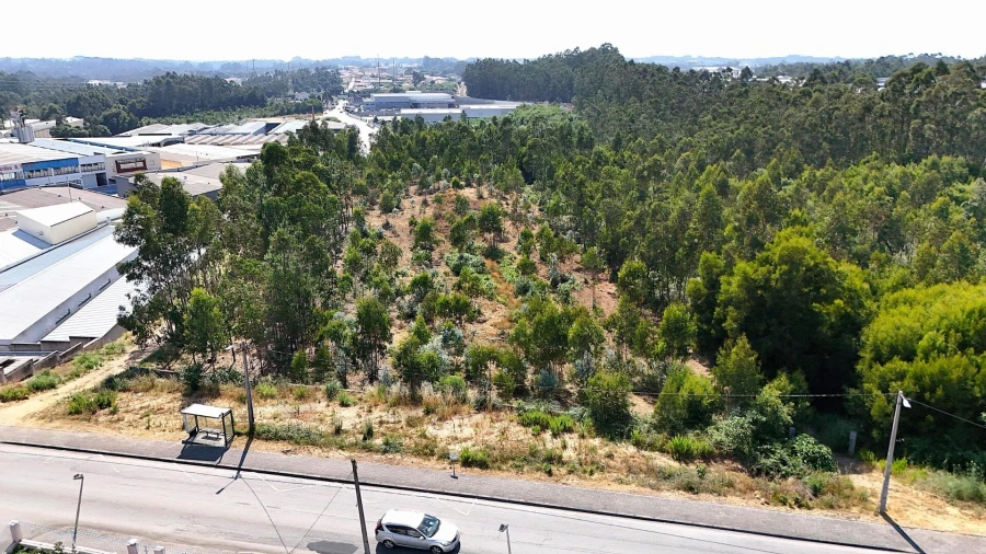 Terreno para Venda em São João de Ver Foto 8