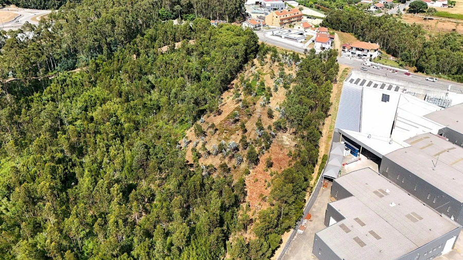 Terreno para Venda em São João de Ver Foto 5
