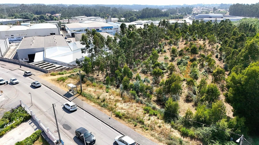 Terreno para Venda em São João de Ver Foto 1