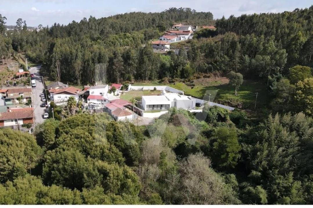 Terreno para Venda em Lourosa Foto 12