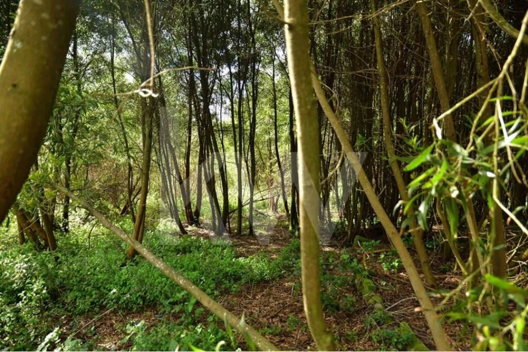 Terreno para Venda em Lourosa Foto 26